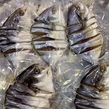 咸魚-咸魚批發、促銷價格、產地貨源 